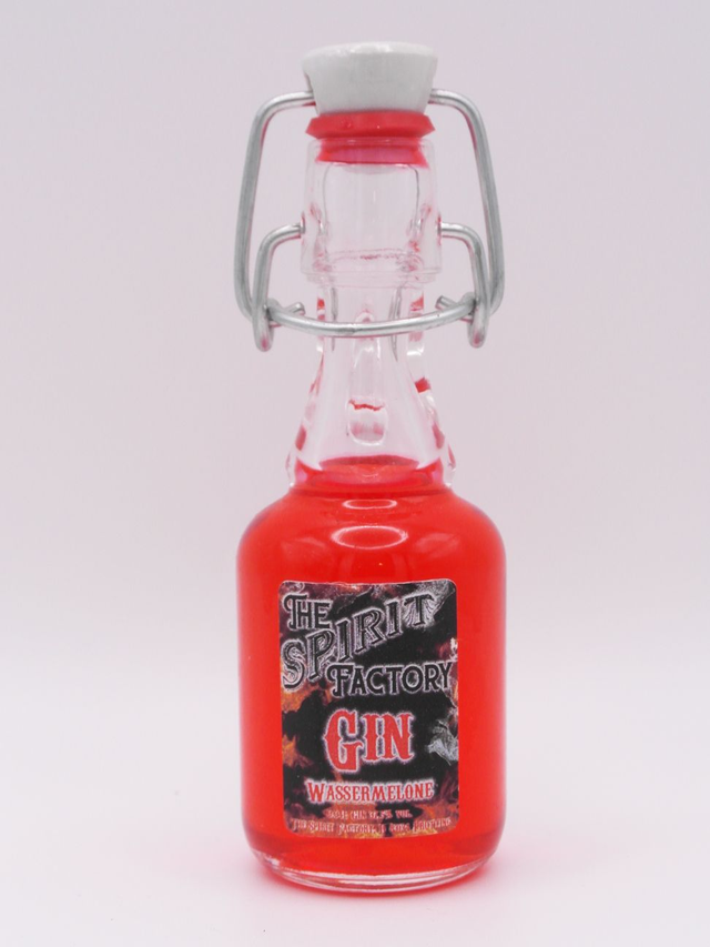 Gin Wassermelone Mini