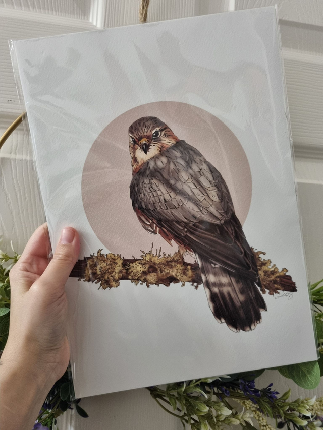 CLEARANCE - Old Paper Stock (textured) - "Merlin" - A4 size