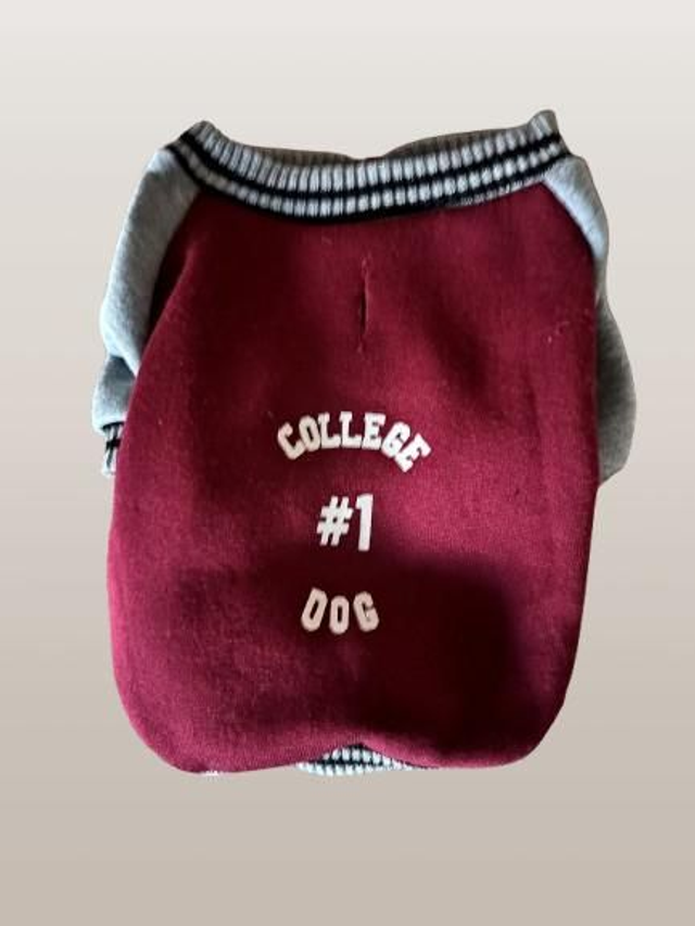 Hunde Pulover Gr. XS