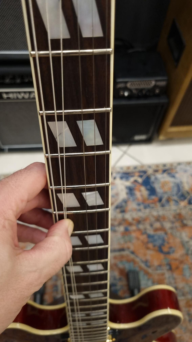 Stanford CR Thinline 35 Cherry - 335 style (Usato)