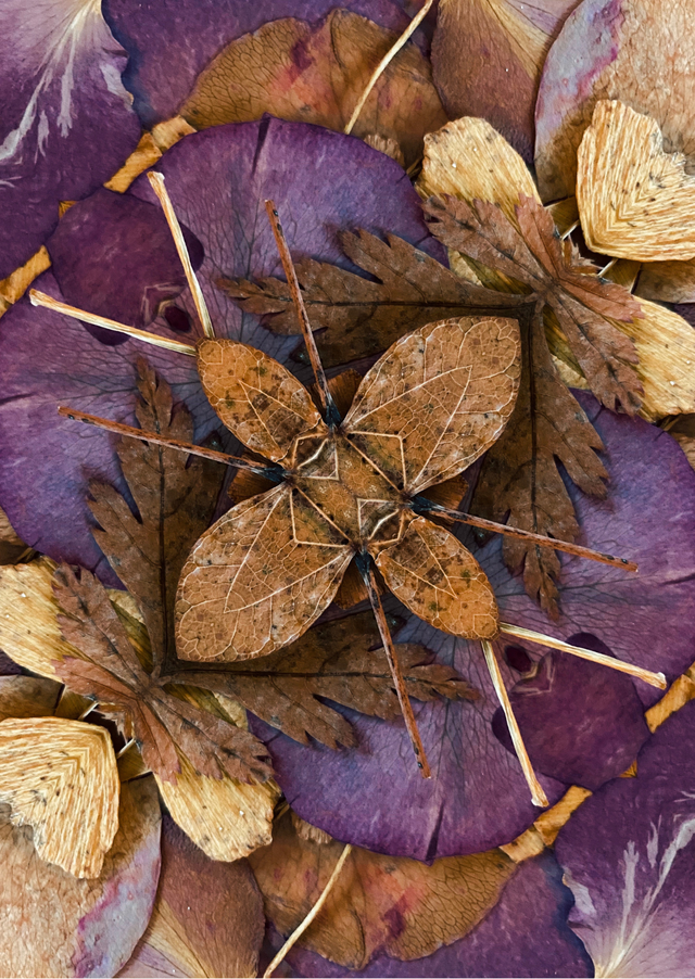 Carte postale « October »