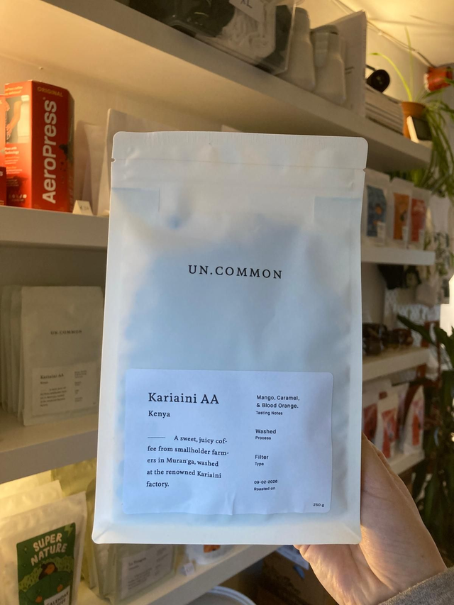 Karianini AA - Filter