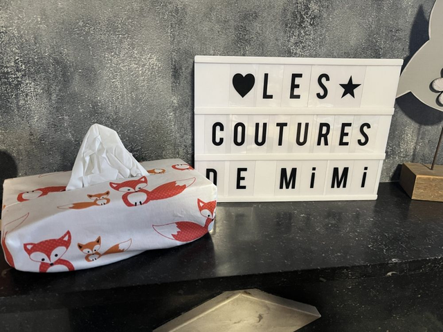 Housse boite à mouchoir