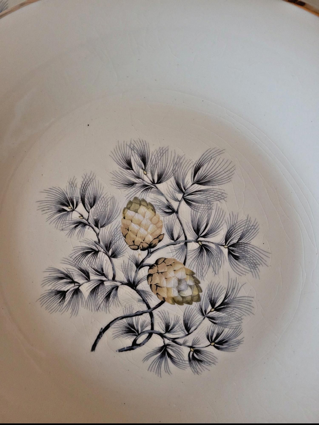 Assiettes plates Ceranord Saint Amand Dax, pommes de pin (par 6)