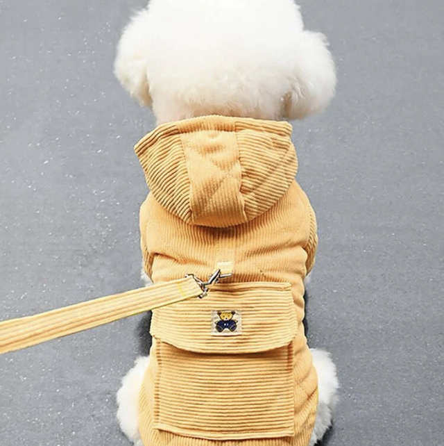 Jacket with leash 