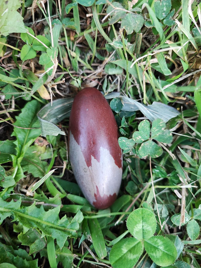 Pierre roulée Shiva lingam 60x25mm