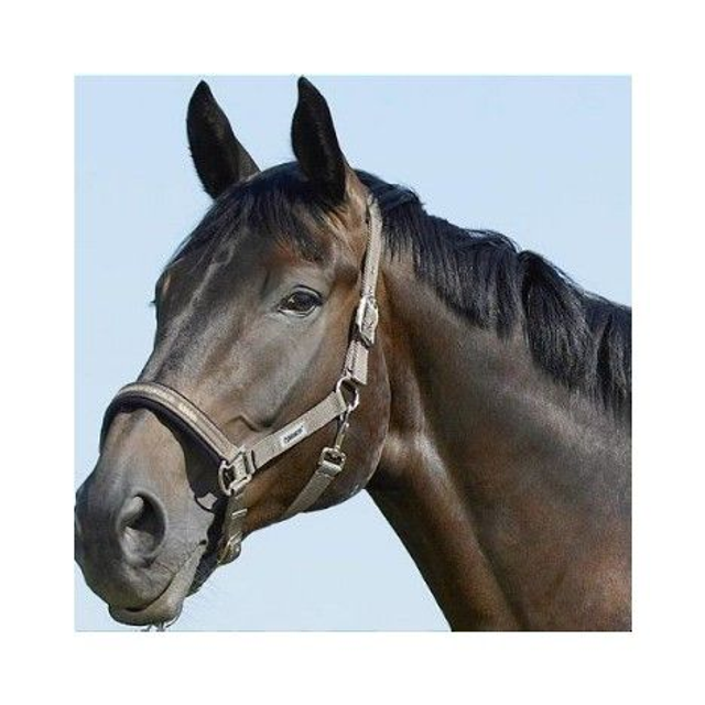 Licol ESKADRON Classic Sport