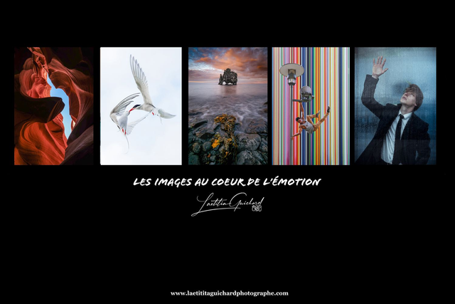 Prolongation Bon cadeau 1 an