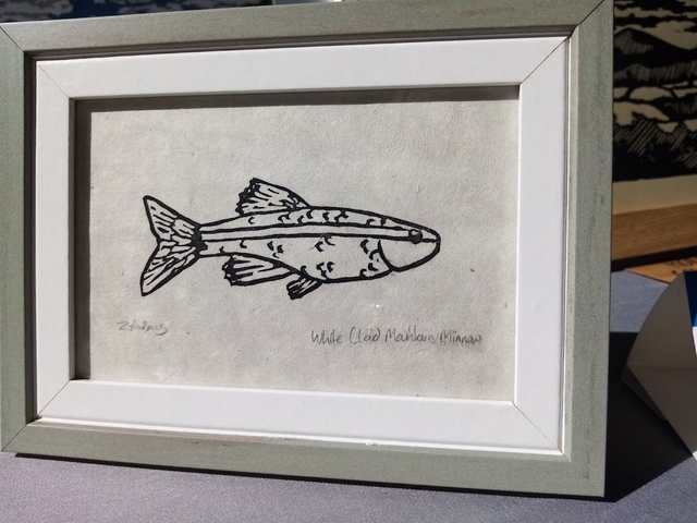 Minnow