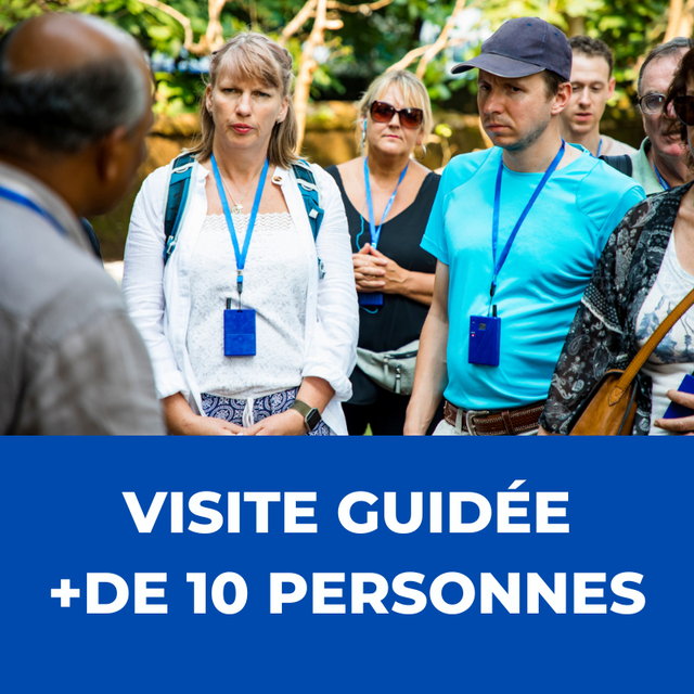 Visite Guidée (+ de 10 personnes)