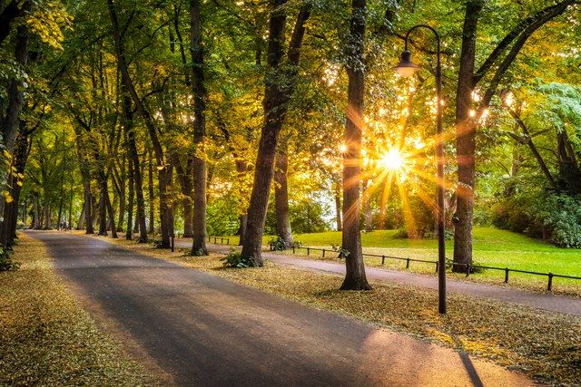 Sonnige Promenade