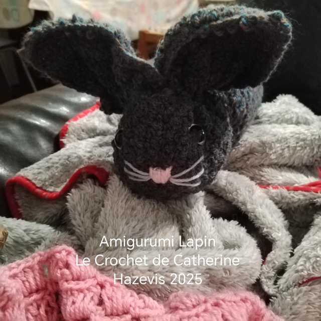 2025 Amigurumi Lapin