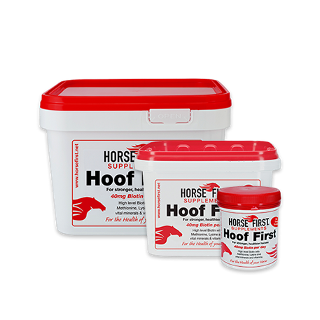 Horse First Hoof First