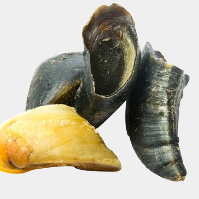 Cows Hoof🐄🐄🐄