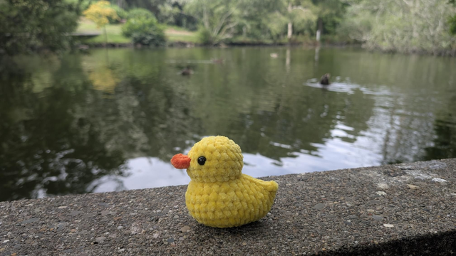 Ducky