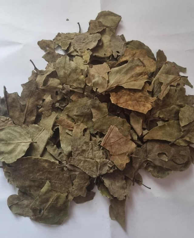 Feuilles de Moussoyiri 100g