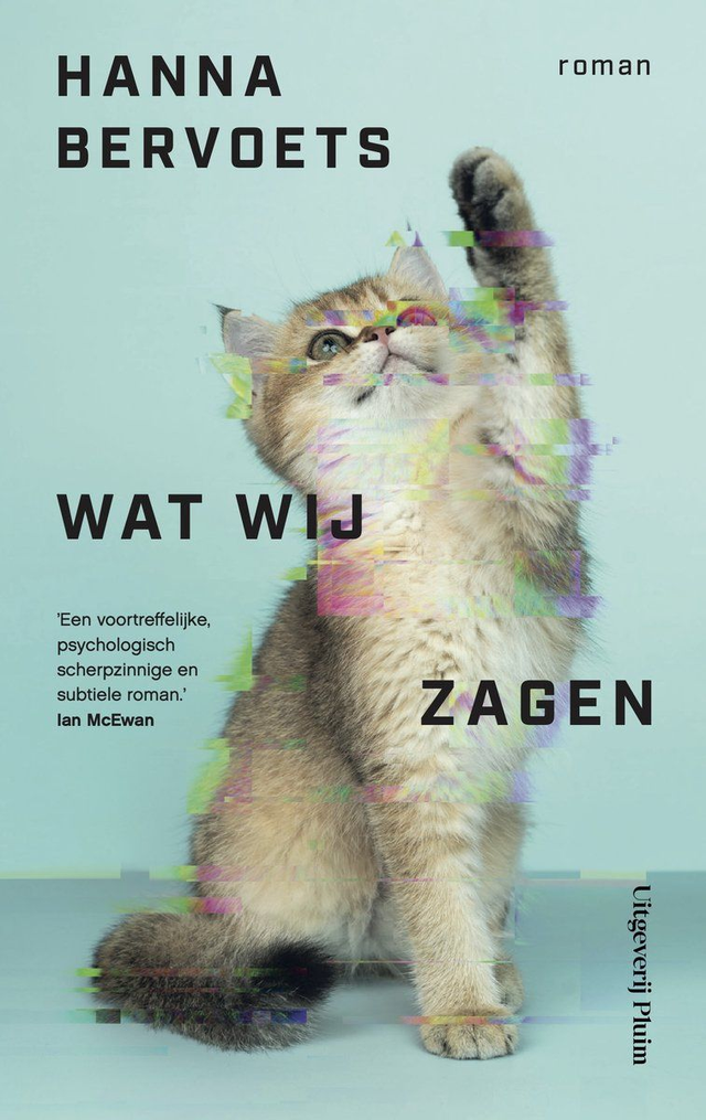 Wat wij zagen / Hanna Bervoets