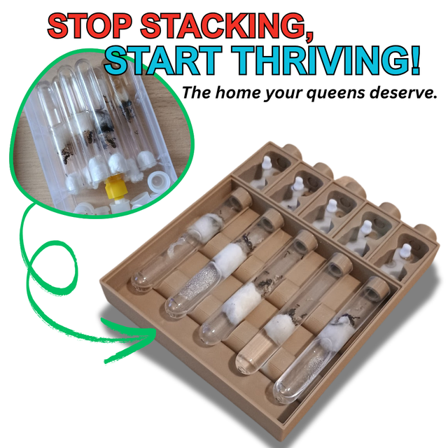 Ant Colony Founding Station (5 Tubes) | AntMaister™ Collection