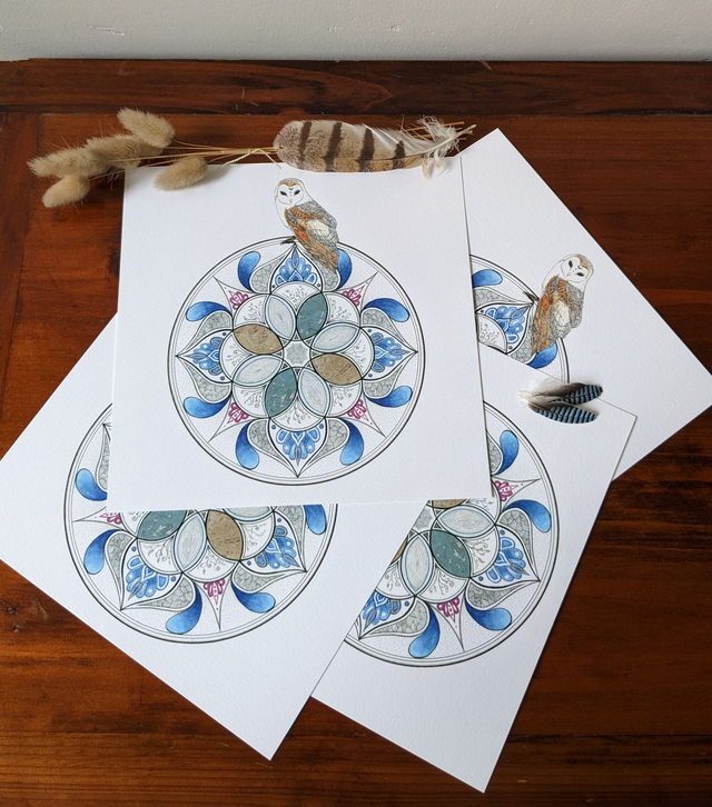 ❃ La rosace et l'effraie ❃