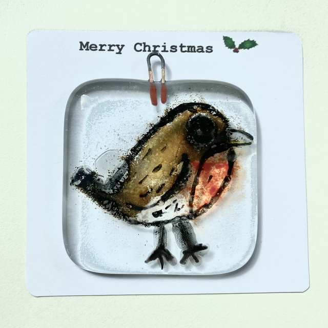 Robin Merry Christmas 