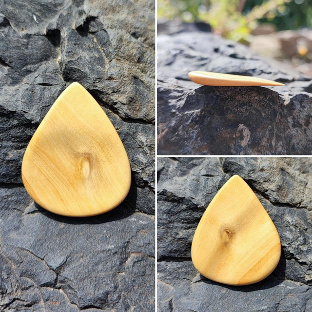 Médiator en Bois de Buis