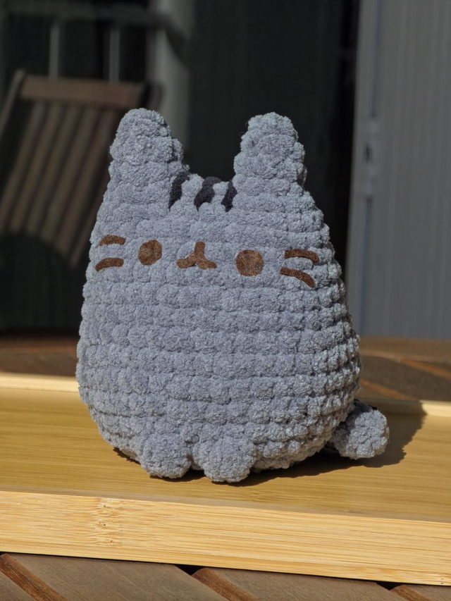 Pusheen cat 