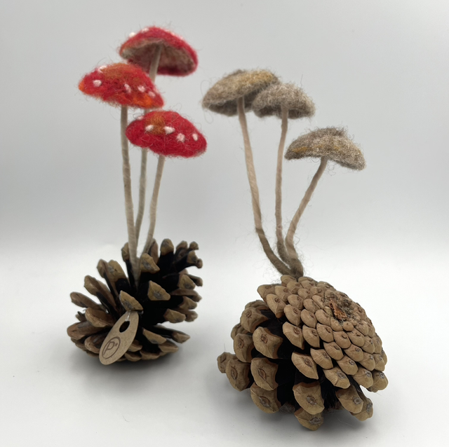 Pinecone toadstools