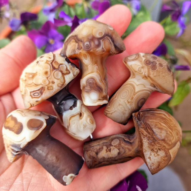 Gobi Agate Brown Mushroom