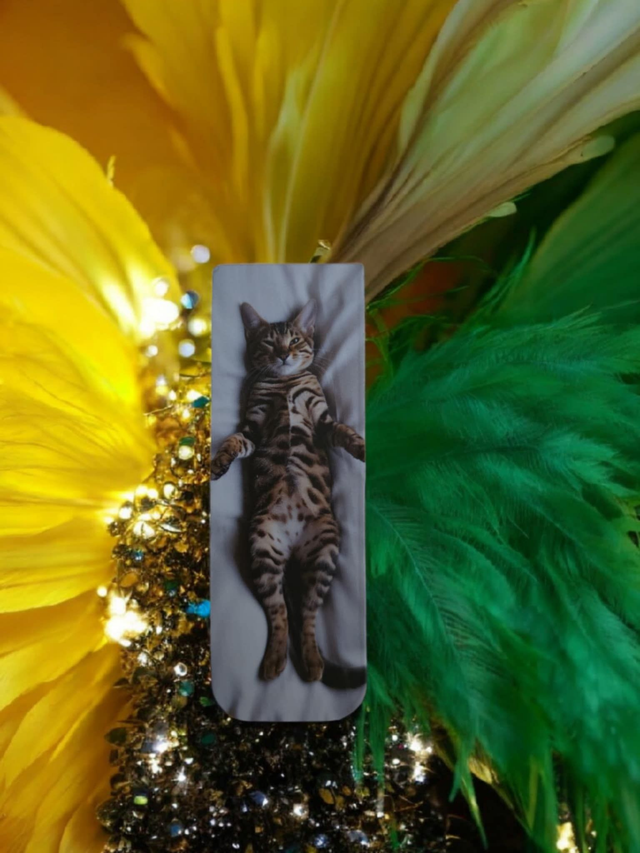 Marque Page  " Collection Ronron " 8