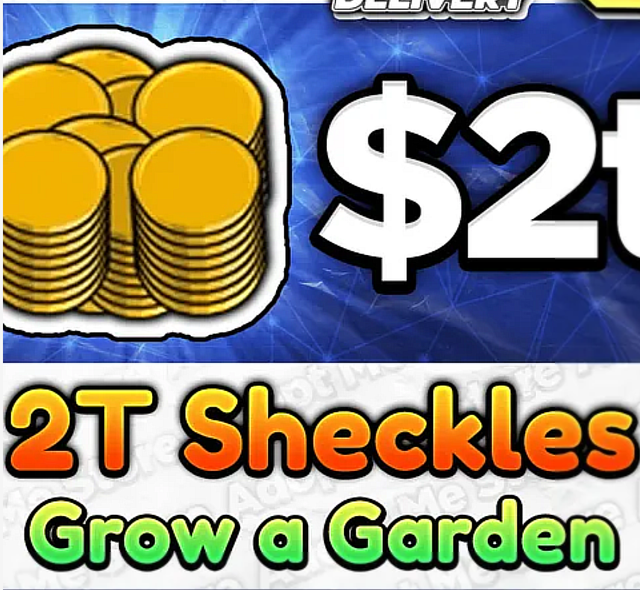 2t sheckles