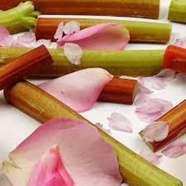 Rhubarb & Rose 