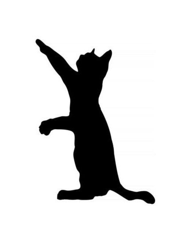 Broche Chat 6