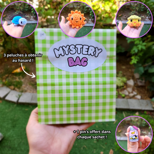 Mystery Bag