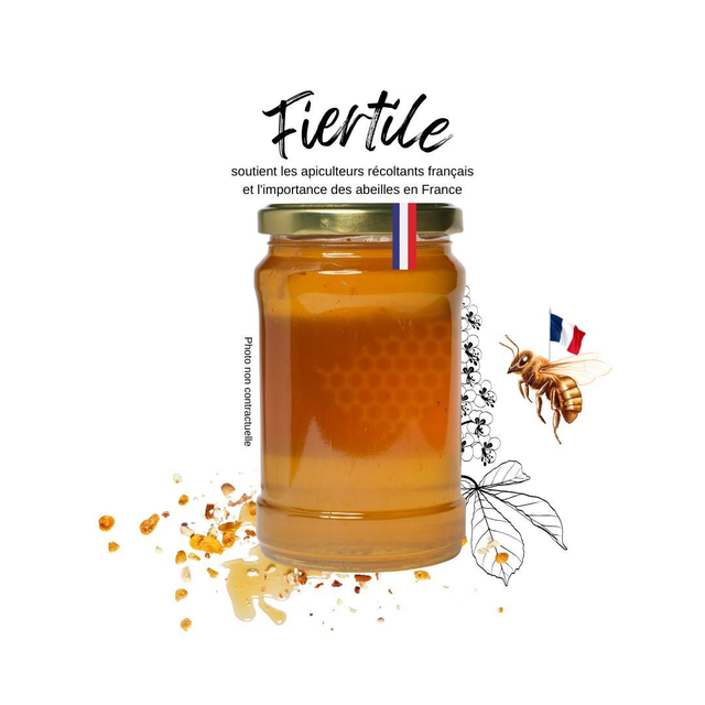 Miel châtaignier bio France 