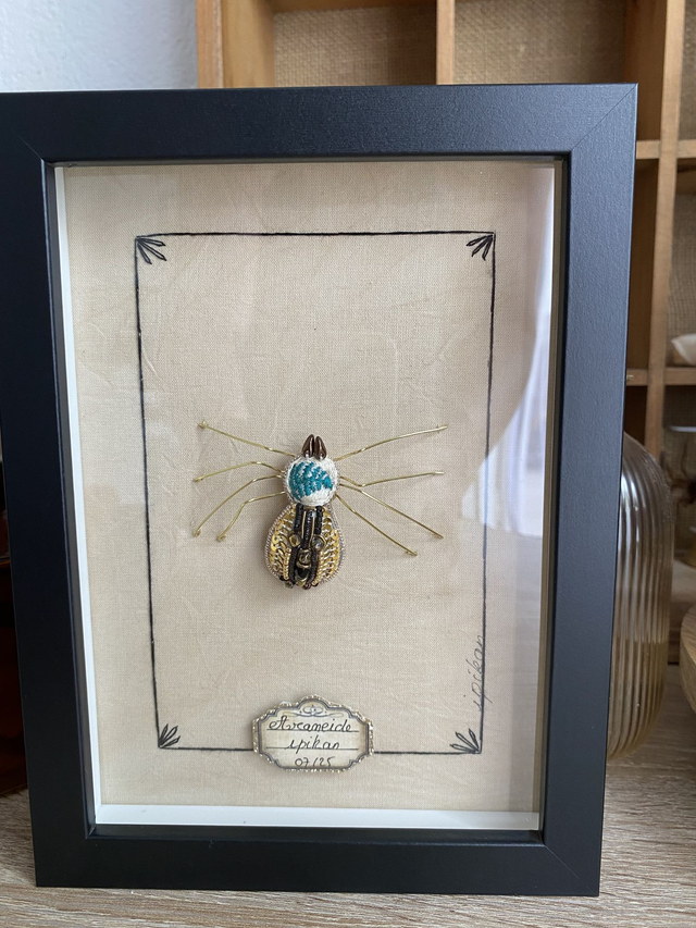 Planche naturaliste araignée noire dorée