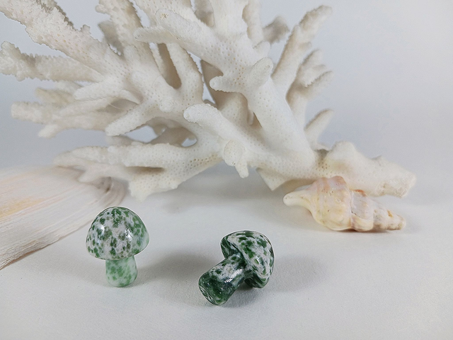 Champignon sculpté : agate arbre