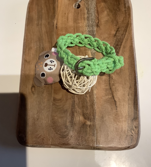 Collier chien « choupette »