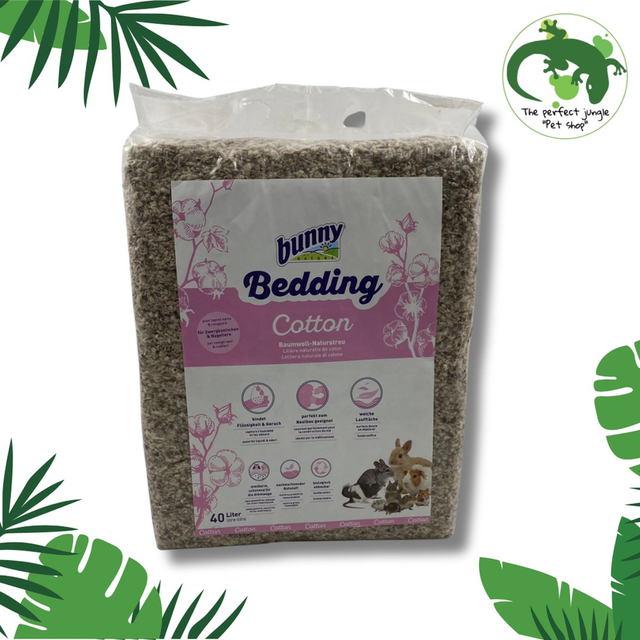 Sustrato Algodón Bunny 