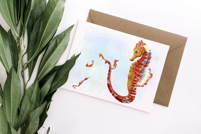 Carte postale hippocampe