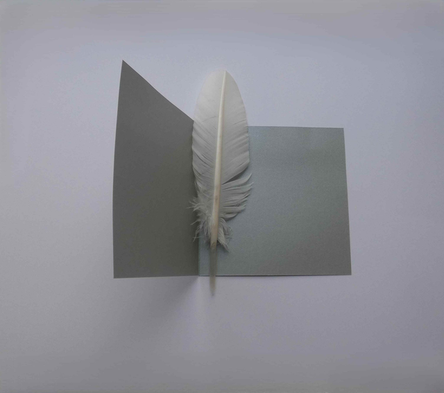 L'étoie de Noël de la carte argentée