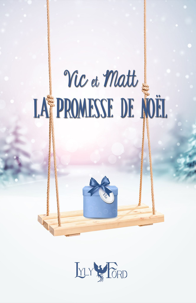 Vic et Matt la promesse de noël