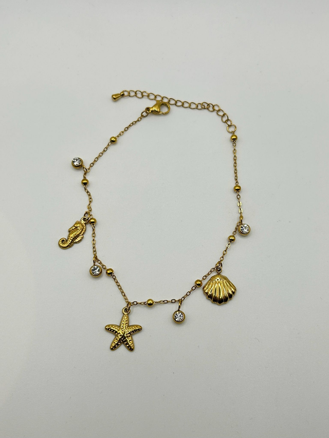 Stainless Steel Anklet (SSAN7J)