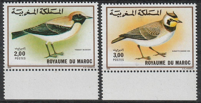 Morocco 1989 Birds Set MNH