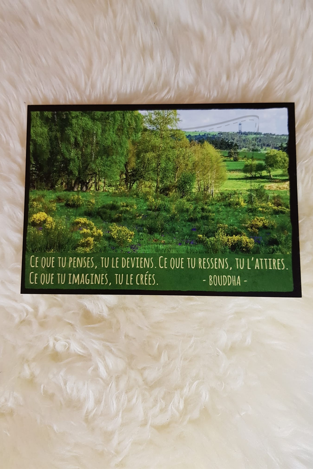 89 - Carte postale - Bouddha - France