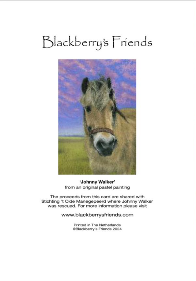 Greeting Card 'UNYCKE' (Olde Manegepeerd)