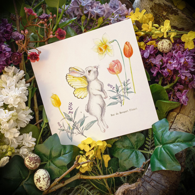 Carte &quot;Rue du Bosquet&quot;