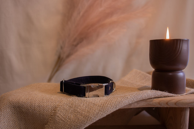 Collier bleu nuit uni - Rowdy 