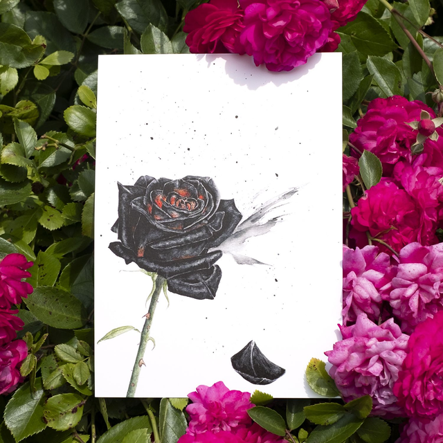 Rose Noire A5
