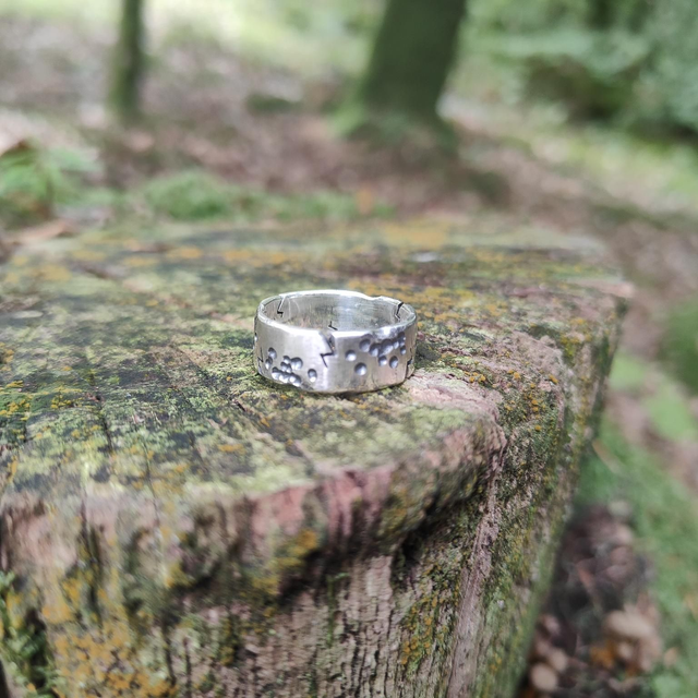 Bague " Désolation " Modèle 1 Argent Massif