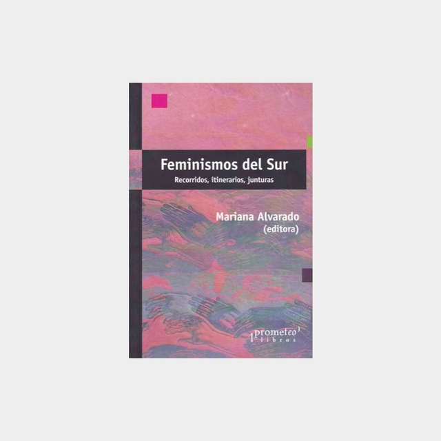 Feminismos del sur: Recorridos, itinerarios, junturas - VV.AA.